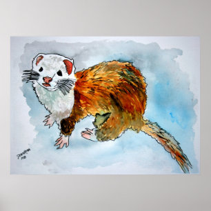 Poster pintura de furão para pintura de animais de estima