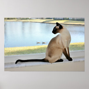 Póster Pintura de Gatos Siameses Pacíficos