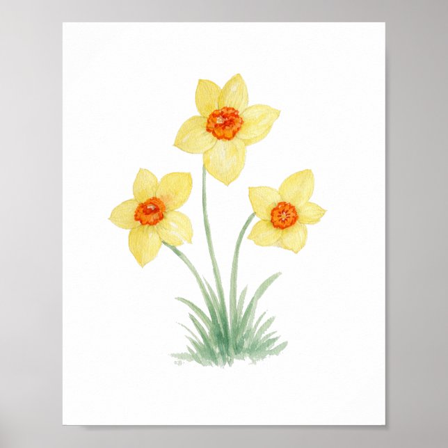 Poster Pintura de Jardim de Narciso Primavera (Frente)