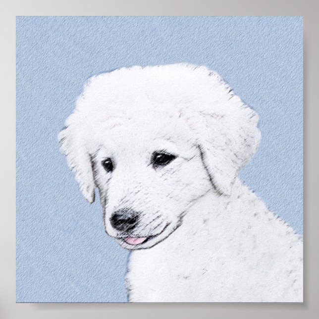 Póster Pintura de Kuvasz - Arte de Cachorro Original Boni (Frente)