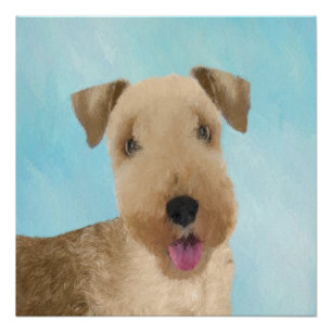 Póster Pintura de Lakeland Terrier - Arte de Cachorro Ori