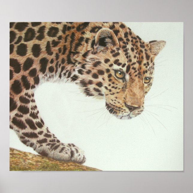 Poster Pintura de Leopardo Jovem (Frente)