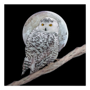 Póster Pintura de Moon e Coruja de Neve - Arte de Pássaro