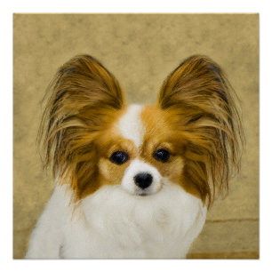 Póster Pintura de Papillon (Hound Tri) - Arte de Cão Orig