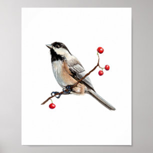 Poster Pintura de pássaro Chickadee em aquarela