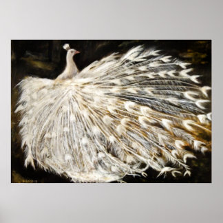 Póster Pintura de Peacock Branco
