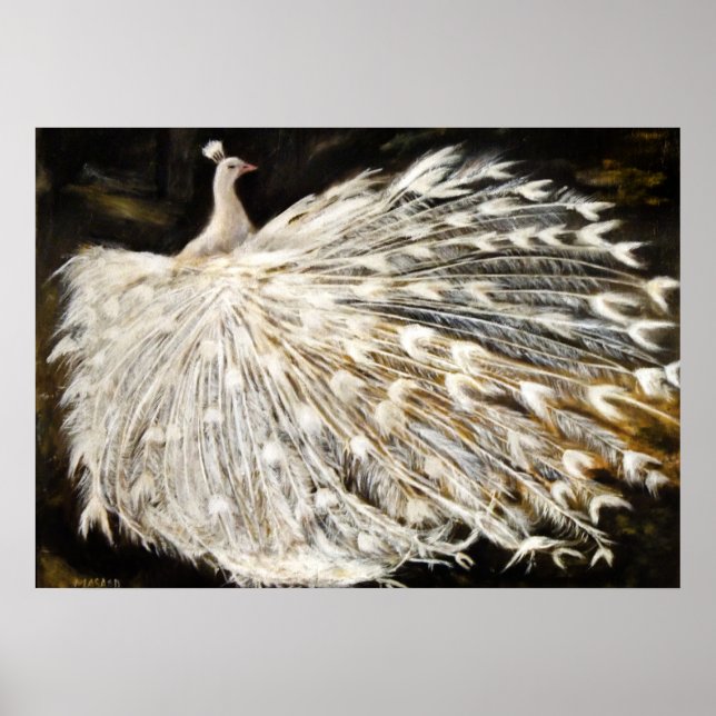 Póster Pintura de Peacock Branco (Frente)