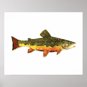 Poster Pintura de Peixes de Brook Trout