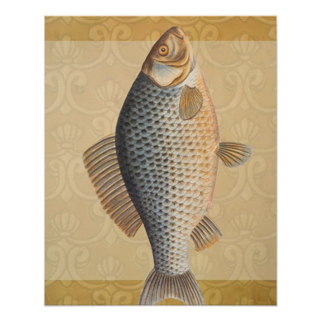Póster pintura de pesca de peixe carpa desenho de água do (Frente)