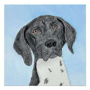 Póster Pintura de ponteiro em branco alemão - Arte origin
