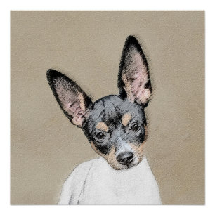 Póster Pintura de Rat Terrier - Arte de Cachorro Original