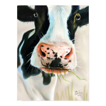 Pintura de retrato de vaca branca e negra