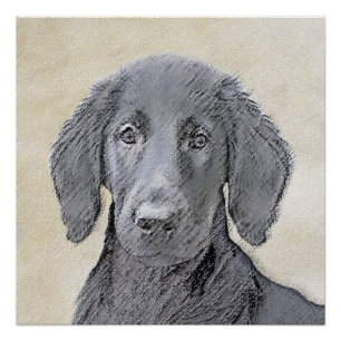 Póster Pintura De Retriever Revestida Plana - Arte De Cã