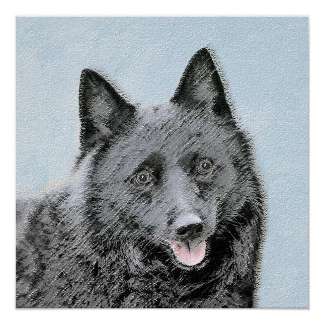 Póster Pintura de Schipperke - Arte de Cachorro Original (Frente)