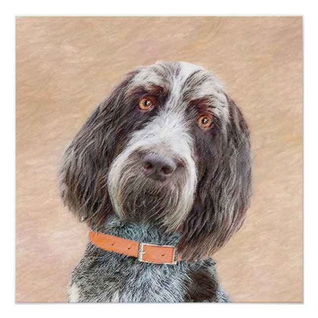 Póster Pintura de Spinone Italiano - Arte de Cachorro Ori (Frente)
