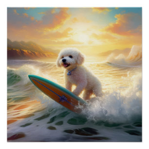 Póster Pintura de surfe na praia de Bichon Frise