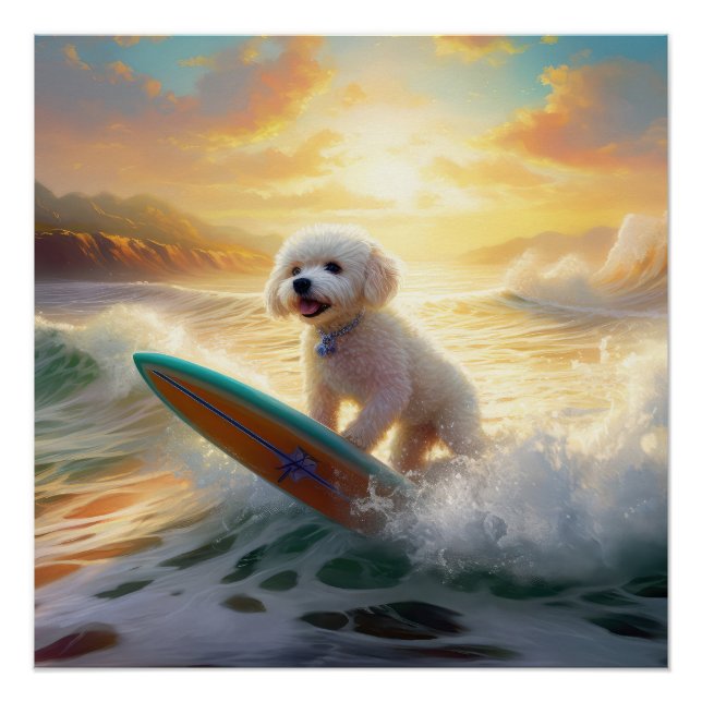 Póster Pintura de surfe na praia de Bichon Frise (Frente)