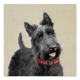 Póster Pintura de Terrier escocês - Arte de cão origina