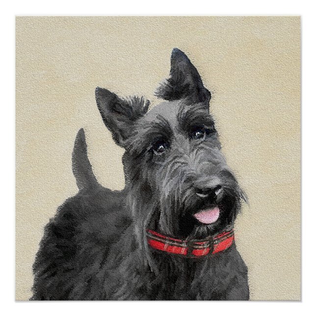 Póster Pintura de Terrier escocês - Arte de cão original  (Frente)
