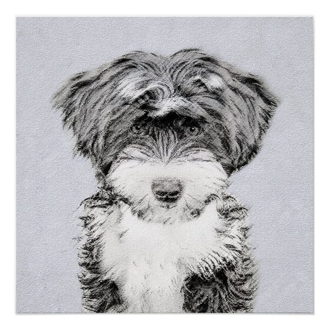 Póster Pintura de Terrier Tibetano - Arte de cão original (Frente)
