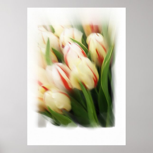 Póster Pintura de "Tulipas" na canvas (Frente)