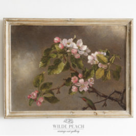 Poster Pintura de Vintagem de Blossom de Hummingbird e Ma