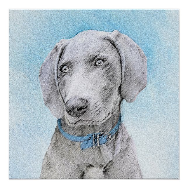 Póster Pintura de Weimaraner - Arte de Cachorro Original (Frente)