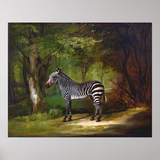 Poster Pintura de Zebra (1763) de George Stubbs (Frente)