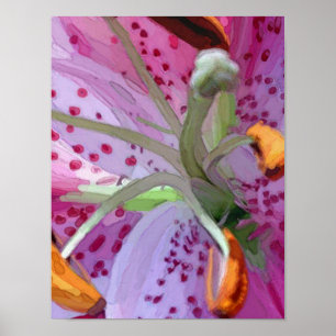Póster Pintura digital Stargazer Lily