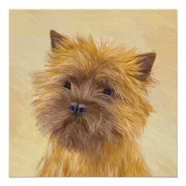 Póster Pintura do Cairn Terrier - Arte Original de Cachor (Frente)