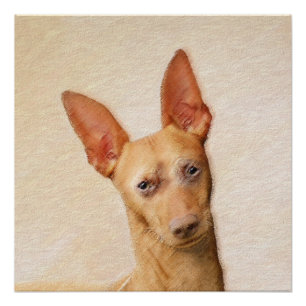 Póster Pintura do Cirneco dell’Etna - Arte do Cachorro Or