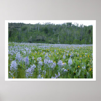 Poster Pintura do Comprimento