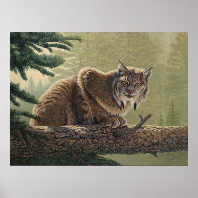 Poster Pintura do Lynx - (Frente)
