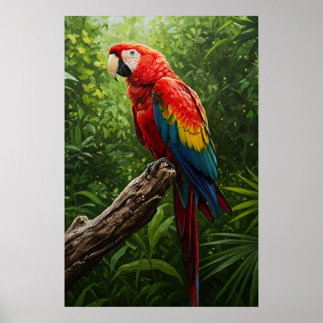 Poster Pintura do Óleo de Macaw Scarlet (Frente)