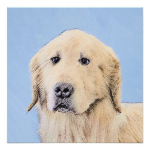 Póster Pintura do ouro Retriever - Arte Cachorra Original