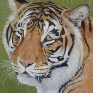 Poster pintura do retrato do tigre do gato grande