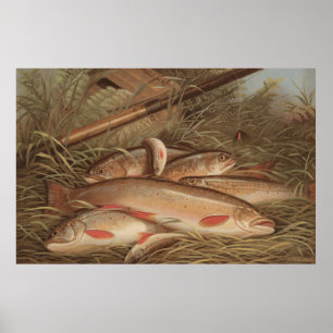 Poster Pintura do vintage da truta de ribeiro travada