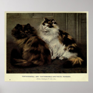 Poster Pintura do vintage de Gato macio (1902)
