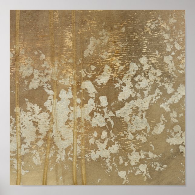 Póster Pintura Dourada abstrato com Espectro de Prata (Frente)