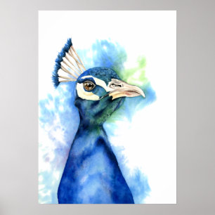 Póster Pintura elegante da aguarela do pavão