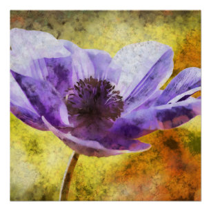 Póster Pintura em acrílico da flor Mauve Anemone