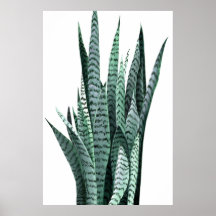 Pintura em acrílico de cobra Plant