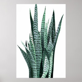 Poster Pintura em acrílico de cobra Plant