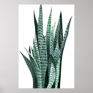 Poster Pintura em acrílico de cobra Plant