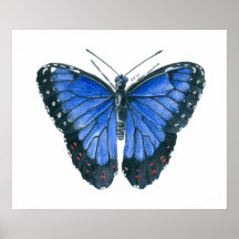 Pintura em aquarela da borboleta Blue Morpho