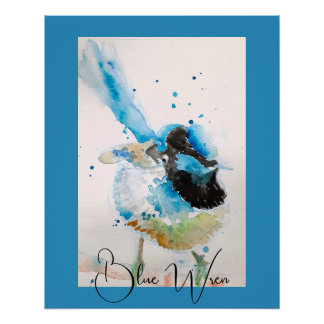 Póster Pintura em Aquarela de Cardeal Azul Australiano