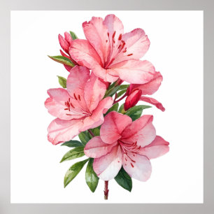 Poster Pintura em aquarela de flor de azálea