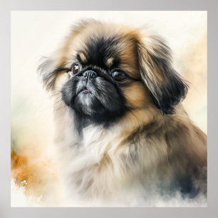 Poster Pintura em Aquarela de Pekingese Cuja Cãozinha