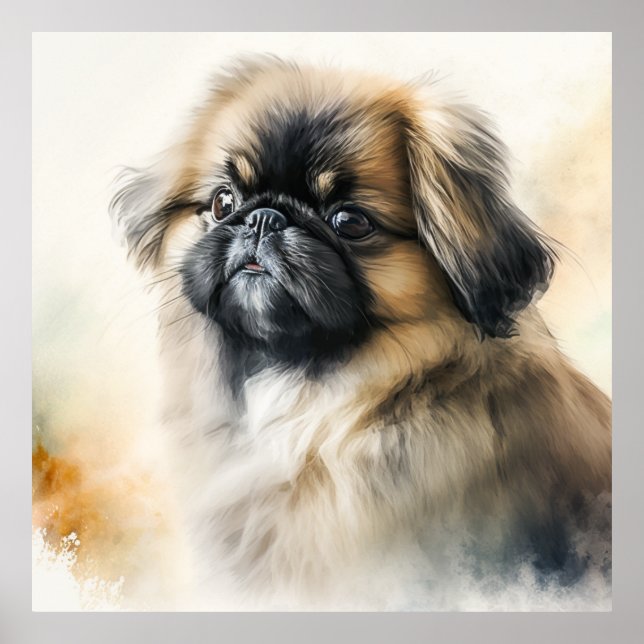 Poster Pintura em Aquarela de Pekingese Cuja Cãozinha (Frente)