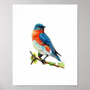 Poster Pintura em Aquarela do Pássaro Azul Oriental